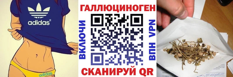 Галлюциногенные грибы MAGIC MUSHROOMS  купить наркоту  гидра ссылка  Звенигово 